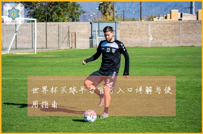 世界杯买球平台官方入口详解与使用指南