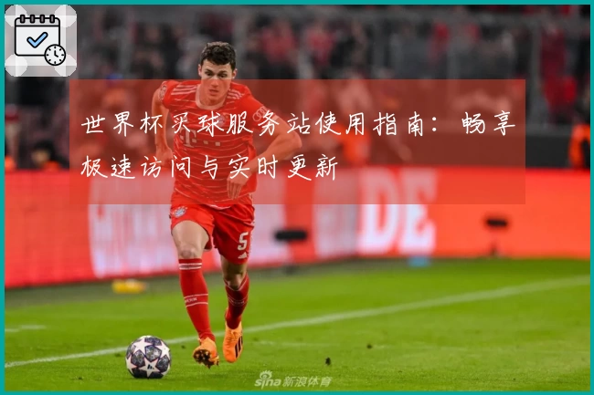 世界杯买球服务站使用指南：畅享极速访问与实时更新