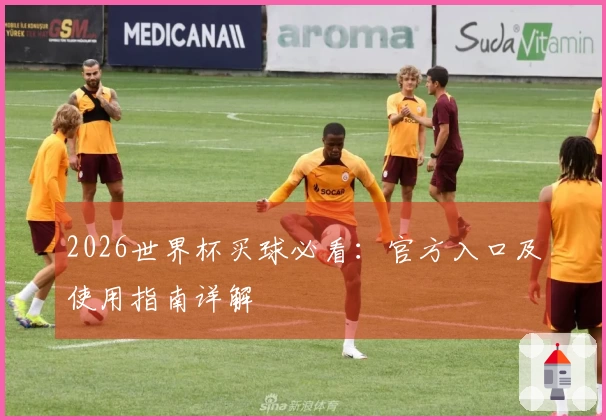 2026世界杯买球必看：官方入口及使用指南详解