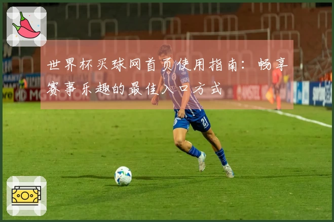 世界杯买球网首页使用指南：畅享赛事乐趣的最佳入口方式