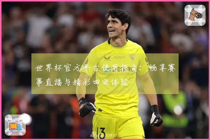 世界杯官方平台使用指南：畅享赛事直播与精彩回放体验