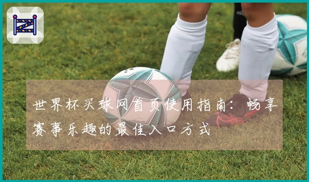 世界杯买球网首页使用指南：畅享赛事乐趣的最佳入口方式
