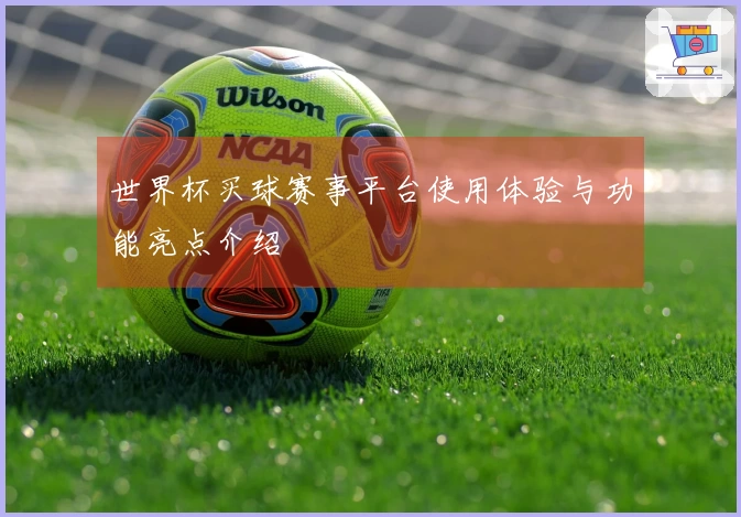 世界杯买球赛事平台使用体验与功能亮点介绍